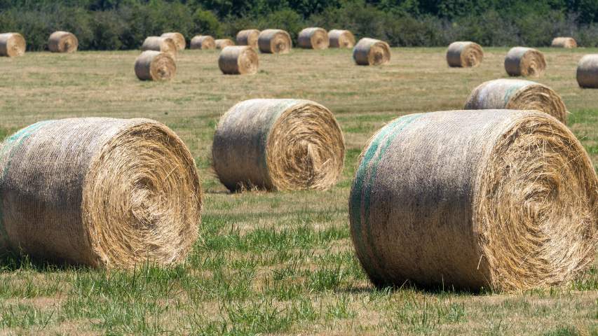 Hay & Straw Farm Business