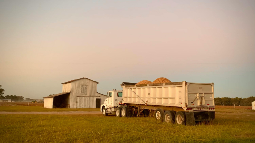 Established Bulk Transport Company – 35+ Years of Success