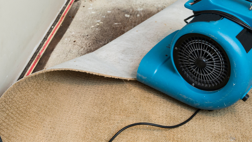 Exceptional Restoration & Disaster Recovery Business